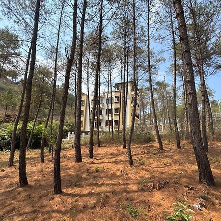 Xtsy Travellers Hostel Shillong Exterior foto
