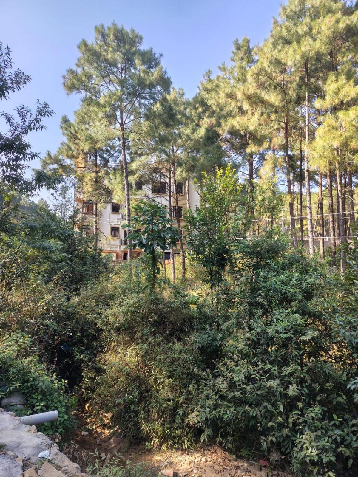 Xtsy Travellers Hostel Shillong Exterior foto
