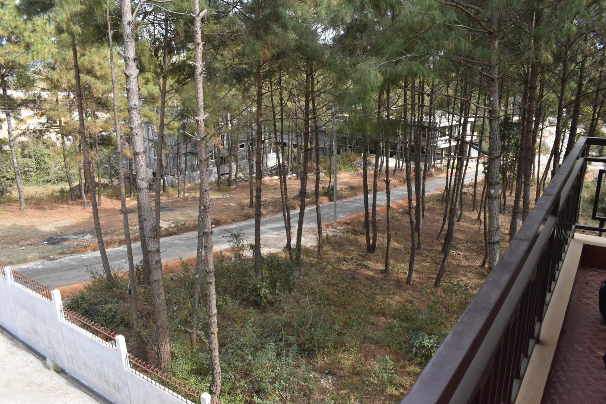 Xtsy Travellers Hostel Shillong Exterior foto